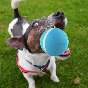 Dog holding Zoomies Pet Ball with sharp teeth