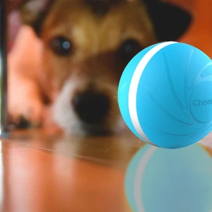 dog with Zoomies Pet Ball under couch