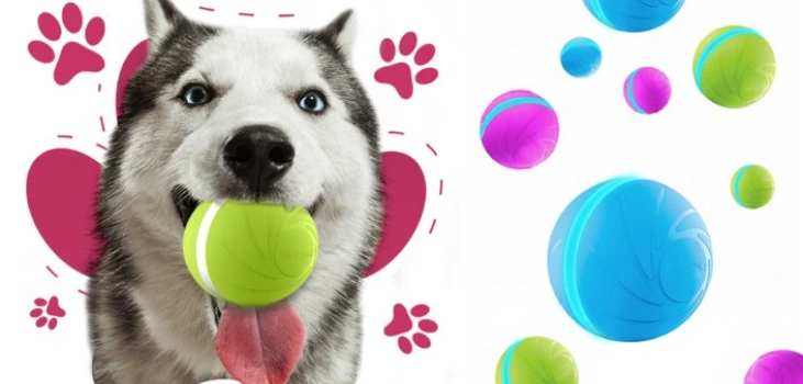 husky holding colorful Zoomies Pet Ball